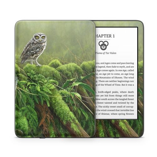 Tumbledown Amazon Kindle Series Skin
