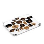 All My Sisters Apple Magic Trackpad Skin