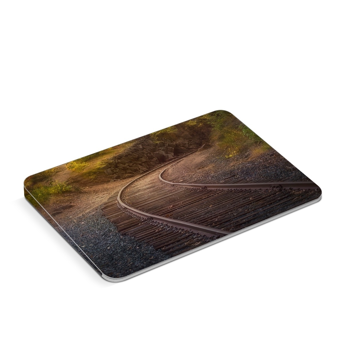 Apple Magic Trackpad Skin design of Plant, Wood, Branch, Natural landscape, Road surface, Track, Grass, Tree, Thoroughfare, Twig, with brown, gray, yellow, orange, green, red colors