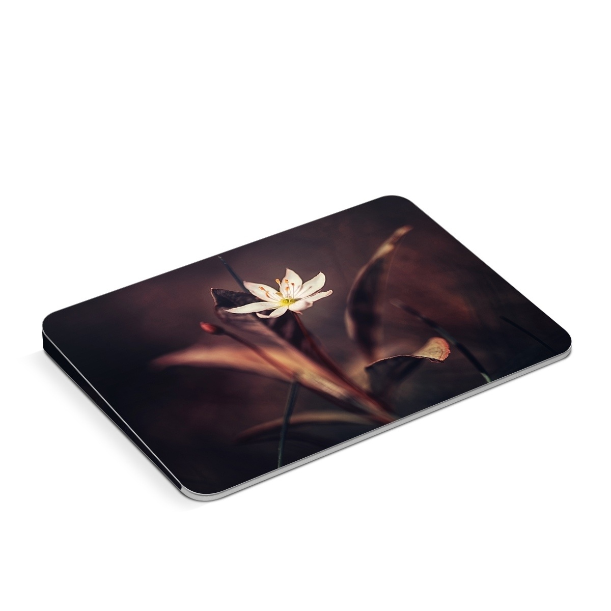 Apple Magic Trackpad Skin design of Flower, Yellow, Light, Plant, Sky, Still life photography, Wildflower, Petal, Darkness, Spring, with black, red colors
