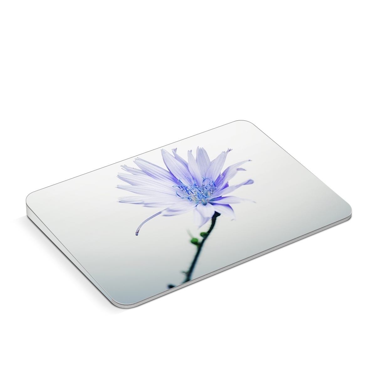 Apple Magic Trackpad Skin design of Blue, Flower, Plant, Petal, Close-up, Macro photography, Flowering plant, Herbaceous plant, Wildflower, Photography, with gray, white, yellow colors