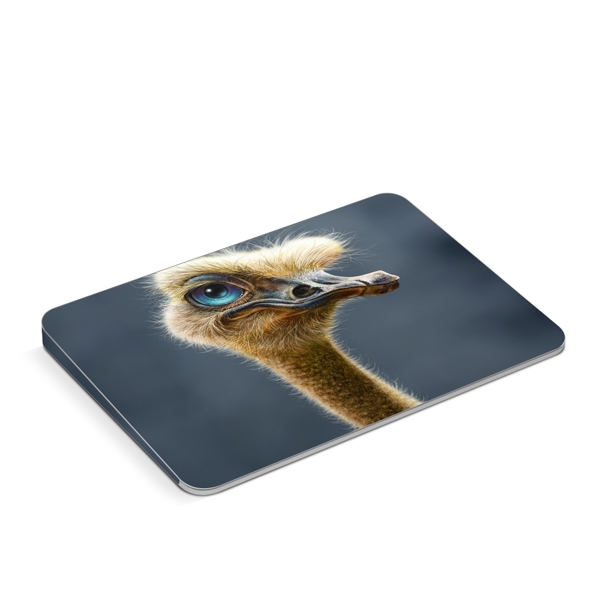 Apple Magic Trackpad Skin design of Ostrich, Flightless bird, Ratite, Bird, Beak, Close-up, Emu, Wildlife, Organism, Terrestrial animal, with black, gray, blue, green, red colors