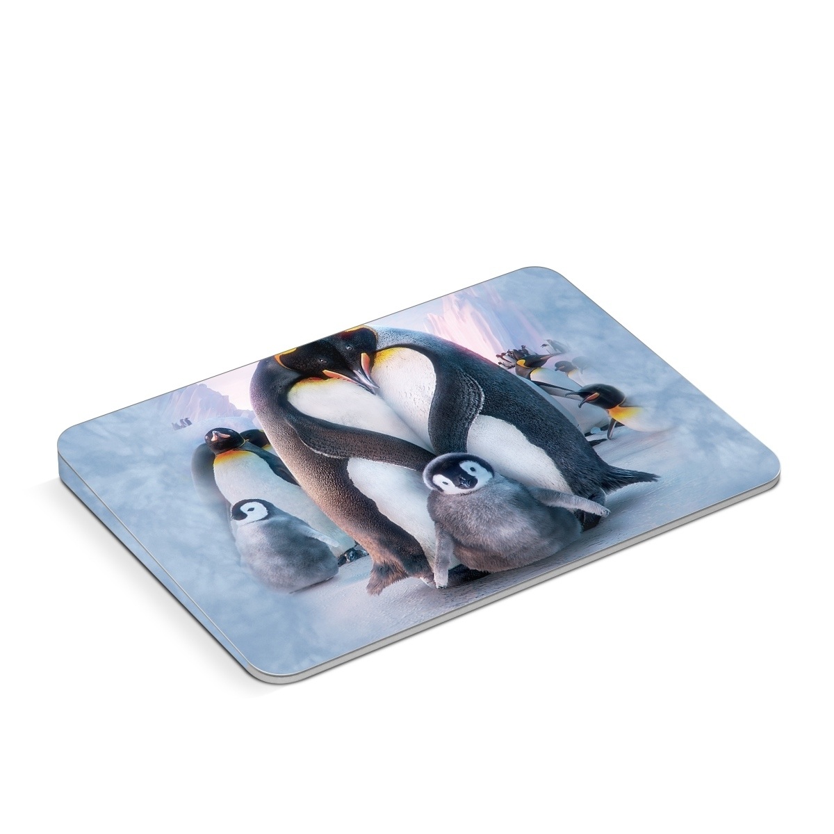 Apple Magic Trackpad Skin design of Bird, Vertebrate, Flightless bird, Penguin, Gentoo penguin, Emperor penguin, King penguin, Beak, Wildlife, Arctic, with gray, black, blue, purple colors