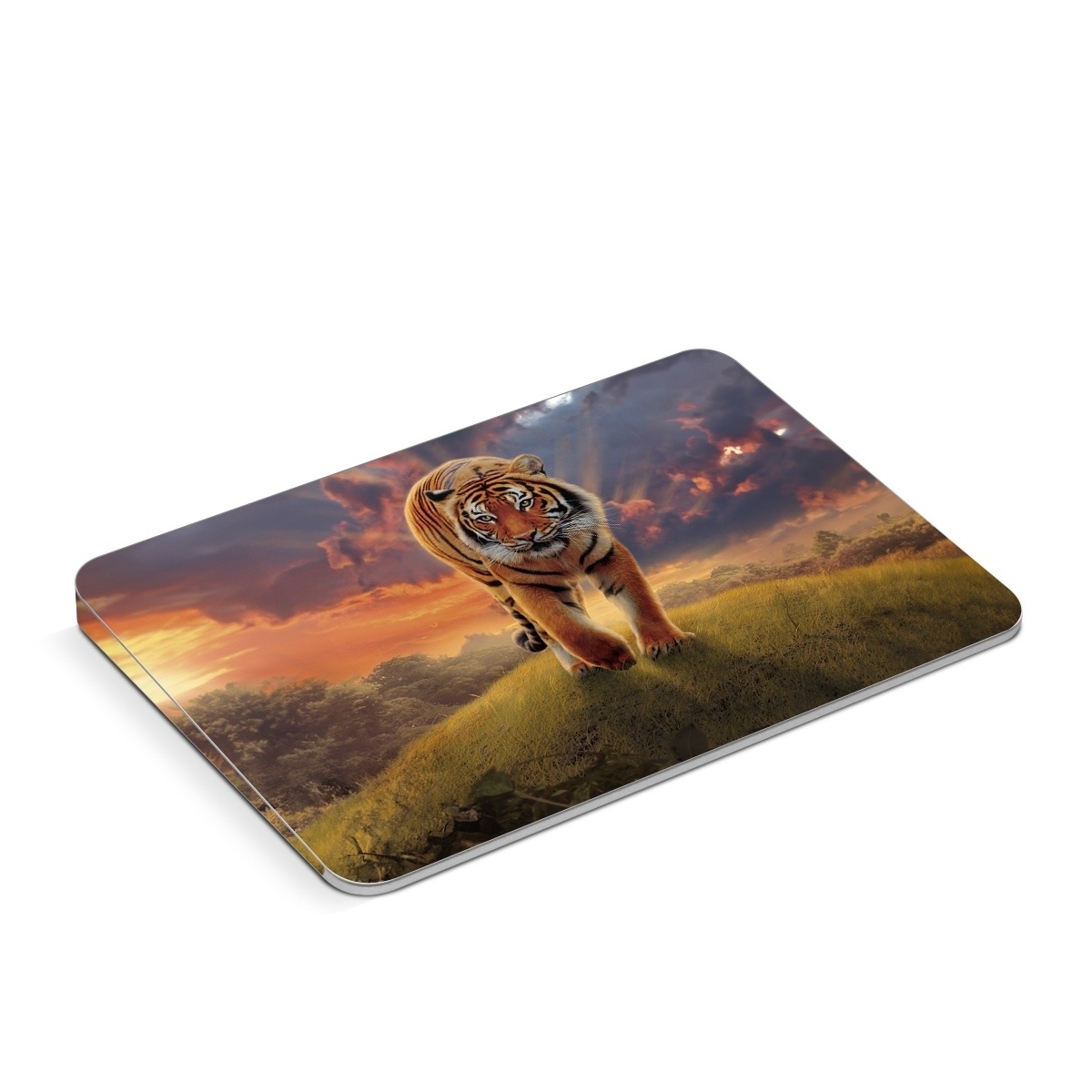 Apple Magic Trackpad Skin design of Tiger, Wildlife, Bengal tiger, Mammal, Felidae, Siberian tiger, Sky, Big cats, Terrestrial animal, Carnivore, with black, white, yellow, red, green, blue colors