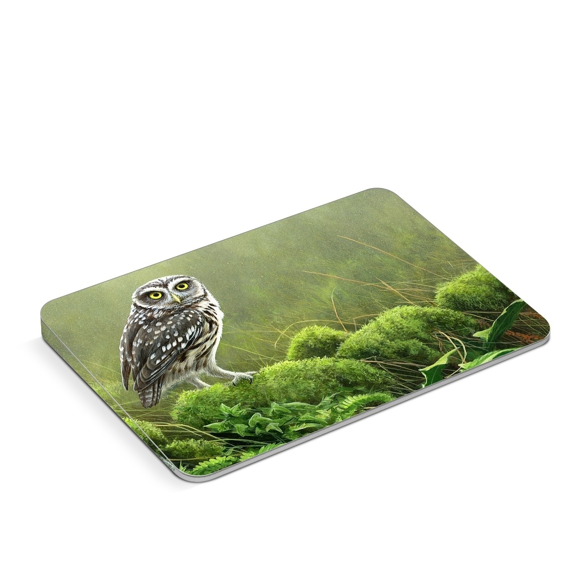 Apple Magic Trackpad Skin design of Nature, Owl, Bird, Bird of prey, great grey owl, Adaptation, Terrestrial plant, Wildlife, Plant, Organism, with brown, gray, green, white colors