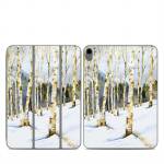 Winter Solstice Smart Folio for iPad Series Skin