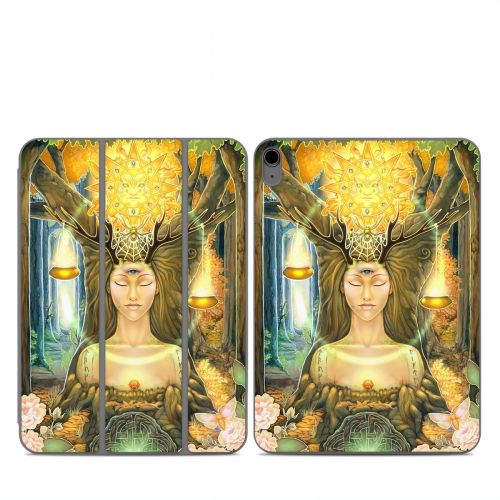 Cause And Effect Smart Folio for iPad Series Skin