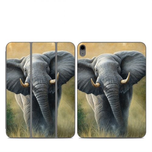 Right of Way Smart Folio for iPad Series Skin