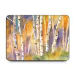 Aspens Smart Keyboard Folio for iPad Series Skin