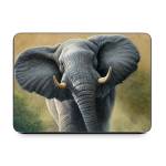 Right of Way Smart Keyboard Folio for iPad Series Skin