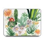 Sonoran Desert Smart Keyboard Folio for iPad Series Skin
