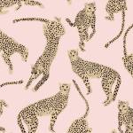 Cheetahs Pink