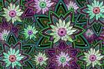 Daisy Trippin