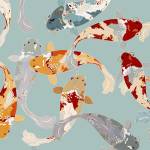 Koi Fish Pond