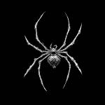 Spidrasica
