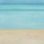 The Beach