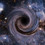 Through the Black Hole
