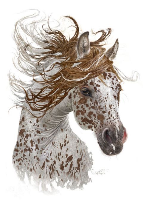 DJI Action 2 Skin design of Horse, Mane, Mustang horse, Illustration, Snout, Animal figure, Drawing, Stallion, Liver, Mare with white, brown colors