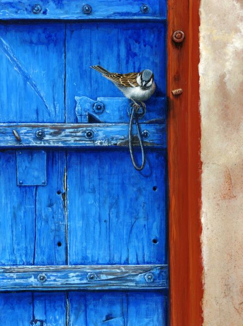  Skin design of Blue, Wood, Door handle, Door, Wall, Door knocker, Electric blue, Still life photography, Window, Handle, with red, blue, brown colors