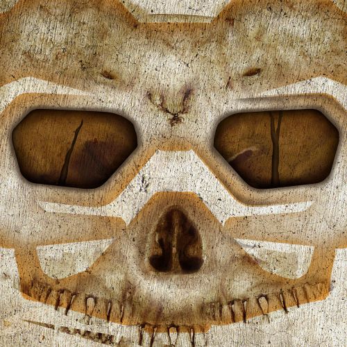 Design of Head, Eye, Jaw, Artifact, Art, Snout, Font, Wood, Bone, Close-up, with white, black, gray, brown, yellow colors