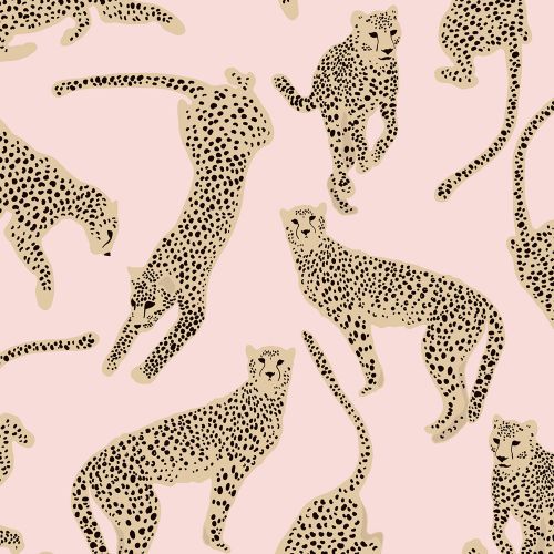 Design of Hair, Vertebrate, White, Organ, Textile, Organism, Mammal, Felidae, Font, Line, with pink, yellow, black colors