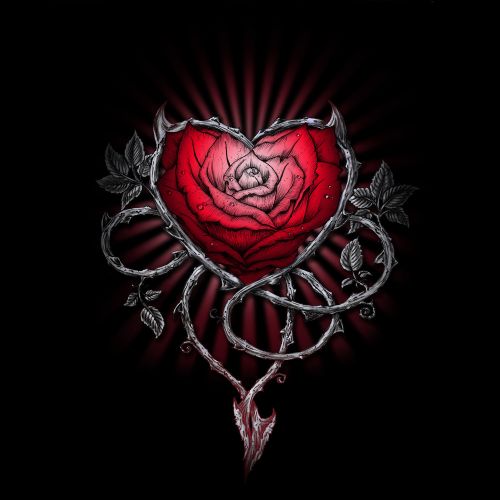 Design of Human body, Flash photography, Gesture, Sleeve, Petal, Font, Jewellery, Fictional character, Magenta, Symmetry, with black, white, red, gray colors