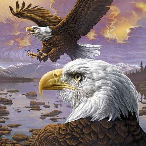 MacBook Keyboard Skin design of Bird, Bird of prey, Bald eagle, Vertebrate, Eagle, Accipitriformes, Accipitridae, Golden eagle, Beak, Hawk, with gray, black, green, red, purple colors