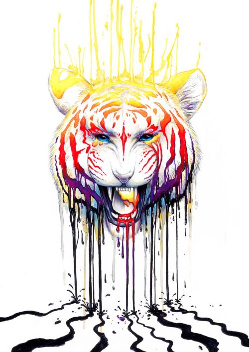 Design of Jaw, Roar, Organism, Gesture, Art, Font, Felidae, Painting, Illustration, Drawing, with white, black, yellow, red, orange, purple colors