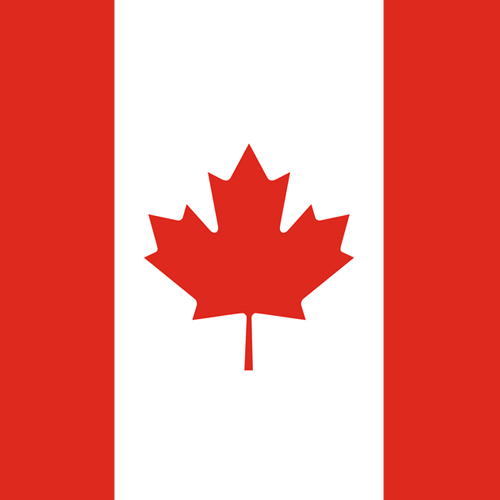 Design of Red, Maple leaf, Tree, Leaf, Woody plant, Flag, Plant, Plane, Red flag, Maple with red, white colors