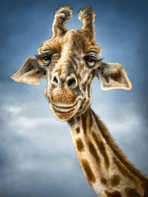 LifeProof Galaxy S8 fre Case Skin design of Giraffe, Giraffidae, Terrestrial animal, Wildlife, Head, Snout, Organism, Adaptation, Close-up, Neck, with gray, black, blue, green colors