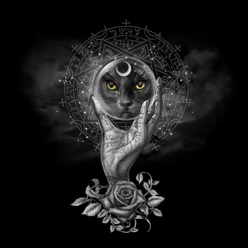 Design of Head, Eye, Flash photography, Painting, Headgear, Art, Font, Snout, Darkness, Owl, with black, white, gray colors