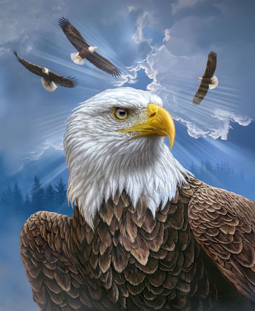 iPhone 8 Plus Folio Case design of Bird, Bald eagle, Bird of prey, Vertebrate, Accipitriformes, Accipitridae, Eagle, Nature, Beak, Kite with blue, brown, white, yellow colors