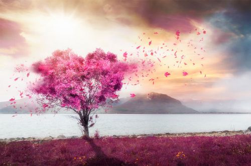 Oculus Quest Skin design of Sky, Nature, Natural landscape, Pink, Tree, Spring, Purple, Landscape, Cloud, Magenta with pink, yellow, blue, black, gray colors
