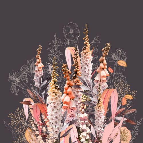 Design of Flower, Plant, Foxtail lily, Botany, Plant stem, Illustration, Broomrape, with brown, pink, white, yellow, orange colors