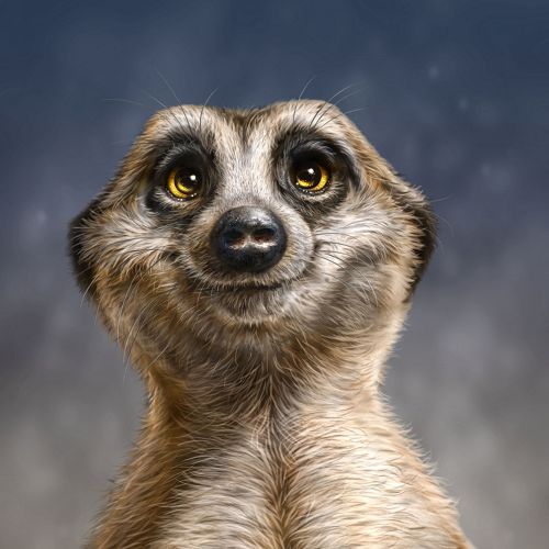 Design of Face, Head, Eye, Eyelash, Human body, Carnivore, Iris, Terrestrial animal, Whiskers, Snout, with white, gray, brown, yellow, black, blue colors