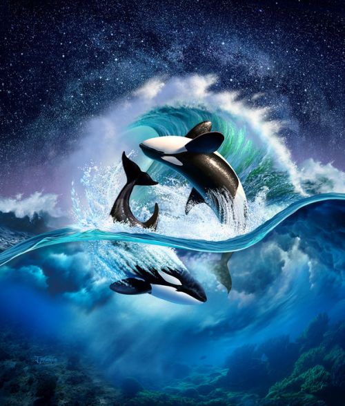DJI FPV Combo Skin design of Dolphin, Short-beaked common dolphin, Sky, Cetacea, Killer whale, Marine mammal, Water, Illustration, Bottlenose dolphin, Common bottlenose dolphin, with black, blue, white, green colors