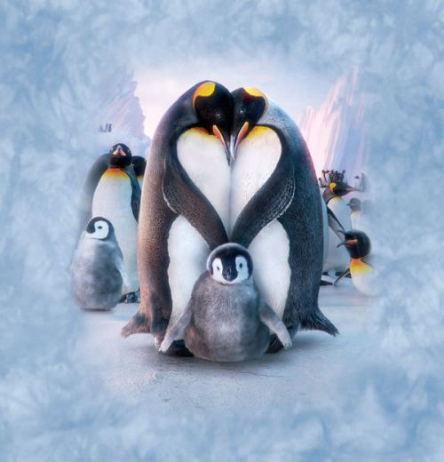 Nintendo DSi Skin design of Bird, Vertebrate, Flightless bird, Penguin, Gentoo penguin, Emperor penguin, King penguin, Beak, Wildlife, Arctic, with gray, black, blue, purple colors