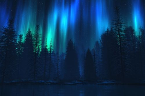 Design of Blue, Light, Natural environment, Tree, Sky, Forest, Darkness, Aurora, Night, Electric blue with black, blue colors