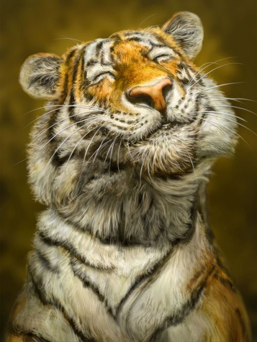 Design of Tiger, Vertebrate, Bengal tiger, Mammal, Wildlife, Siberian tiger, Terrestrial animal, Felidae, Snout, Whiskers, with black, white, orange, yellow colors