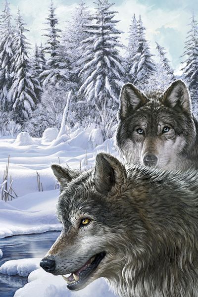 Design of Mammal, Vertebrate, Wolf, Canidae, canis lupus tundrarum, Canis, Wildlife, Carnivore, Wolfdog, Dog with gray, black, blue, purple colors