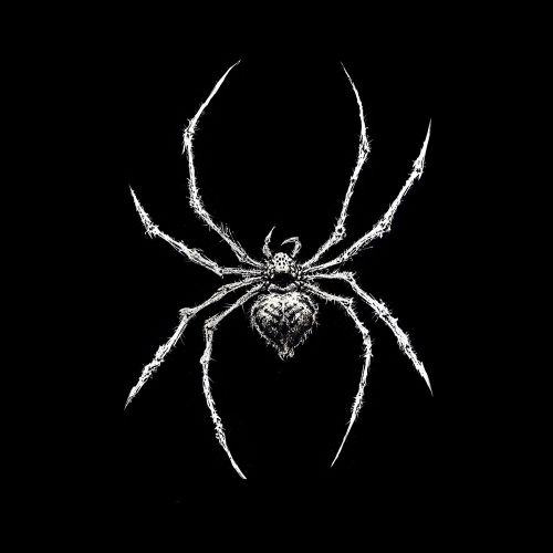 Design of Arthropod, Spider, Insect, Spider web, Terrestrial animal, Arachnid, Invertebrate, Tangle-web spider, Symmetry, Terrestrial plant, with black, white, gray colors