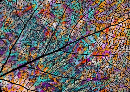 GoPro Hero Skin design of Pattern, Colorfulness, Line, Branch, Tree, Leaf, Design, Visual arts, Glass, Plant, with black, gray, red, blue, green colors