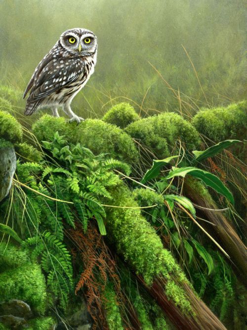 Apple 30W USB-C Power Adapter Skin design of Nature, Owl, Bird, Bird of prey, great grey owl, Adaptation, Terrestrial plant, Wildlife, Plant, Organism, with brown, gray, green, white colors
