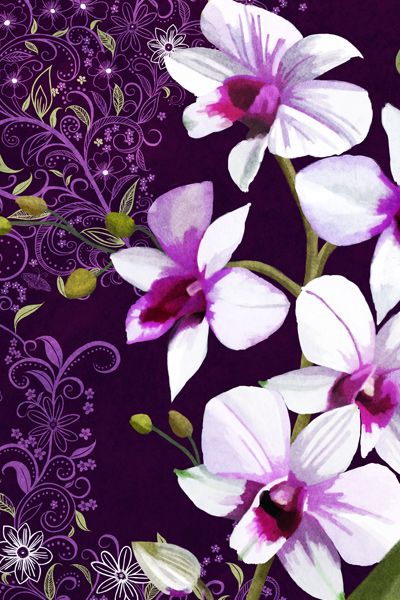 Amazon Kindle Scribe Skin design of Flower, Purple, Petal, Violet, Lilac, Plant, Flowering plant, cooktown orchid, Botany, Wildflower, with black, gray, white, purple, pink colors