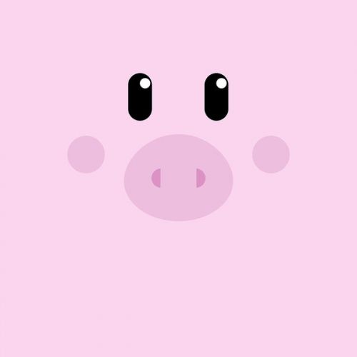  Skin design of Pink, Cartoon, Violet, Nose, Purple, Snout, Suidae, Material property, Illustration, Animation, with pink, black, white colors