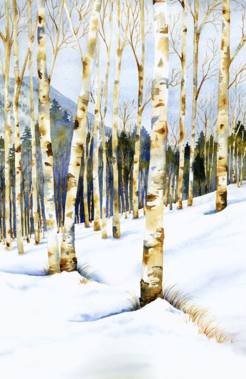 Design of Tree, Snow, Winter, Canoe birch, Nature, Birch, Forest, Natural environment, Freezing, Woody plant, with white, brown, black, gray colors