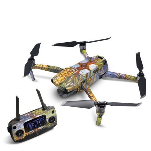 Searching for the Season DJI Mavic 2 Skin