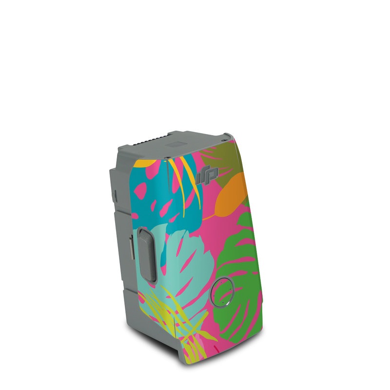 DJI Air 2S Battery Skin design of Organism, Pink, Rectangle, Magenta, Aqua, Art, Symmetry, Pattern, Painting, Electric blue, with pink, green, blue, yellow, orange, red colors