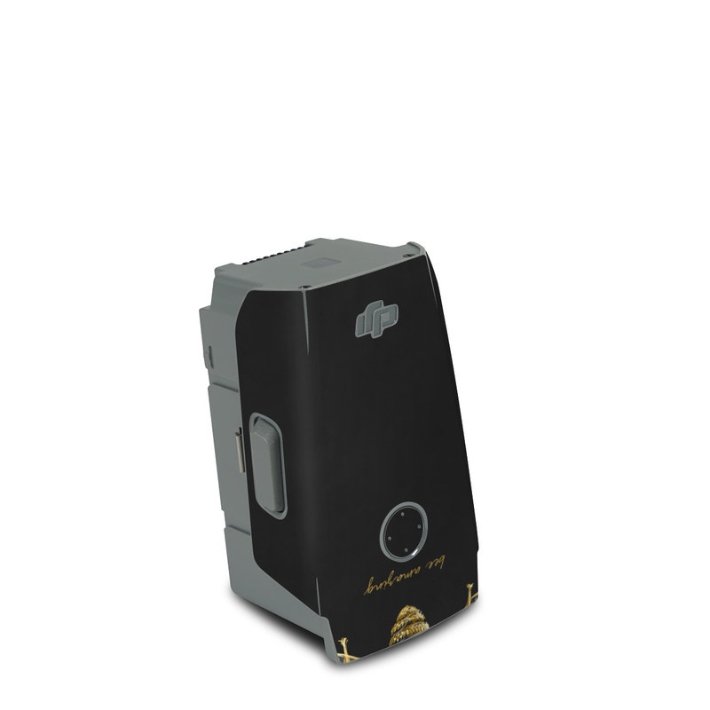 DJI Air 2S Battery Skin design of Insect, Invertebrate, Membrane-winged insect, Arthropod, Pest, Net-winged insects, Bee, Cicada, Macro photography, Pollinator, with black, yellow, white colors