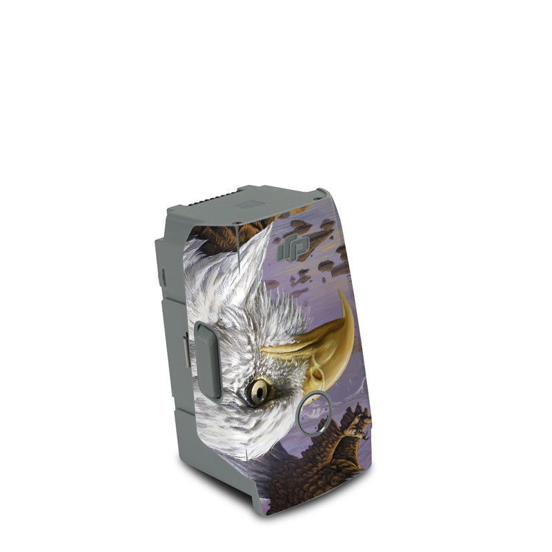 DJI Air 2S Battery Skin design of Bird, Bird of prey, Bald eagle, Vertebrate, Eagle, Accipitriformes, Accipitridae, Golden eagle, Beak, Hawk, with gray, black, green, red, purple colors